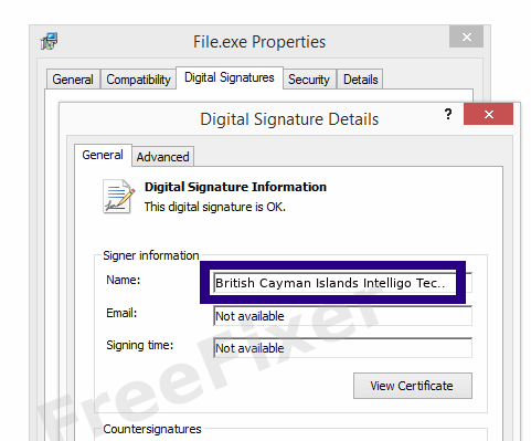 Screenshot of the British Cayman Islands Intelligo Technology Inc. Taiwan Branch certificate